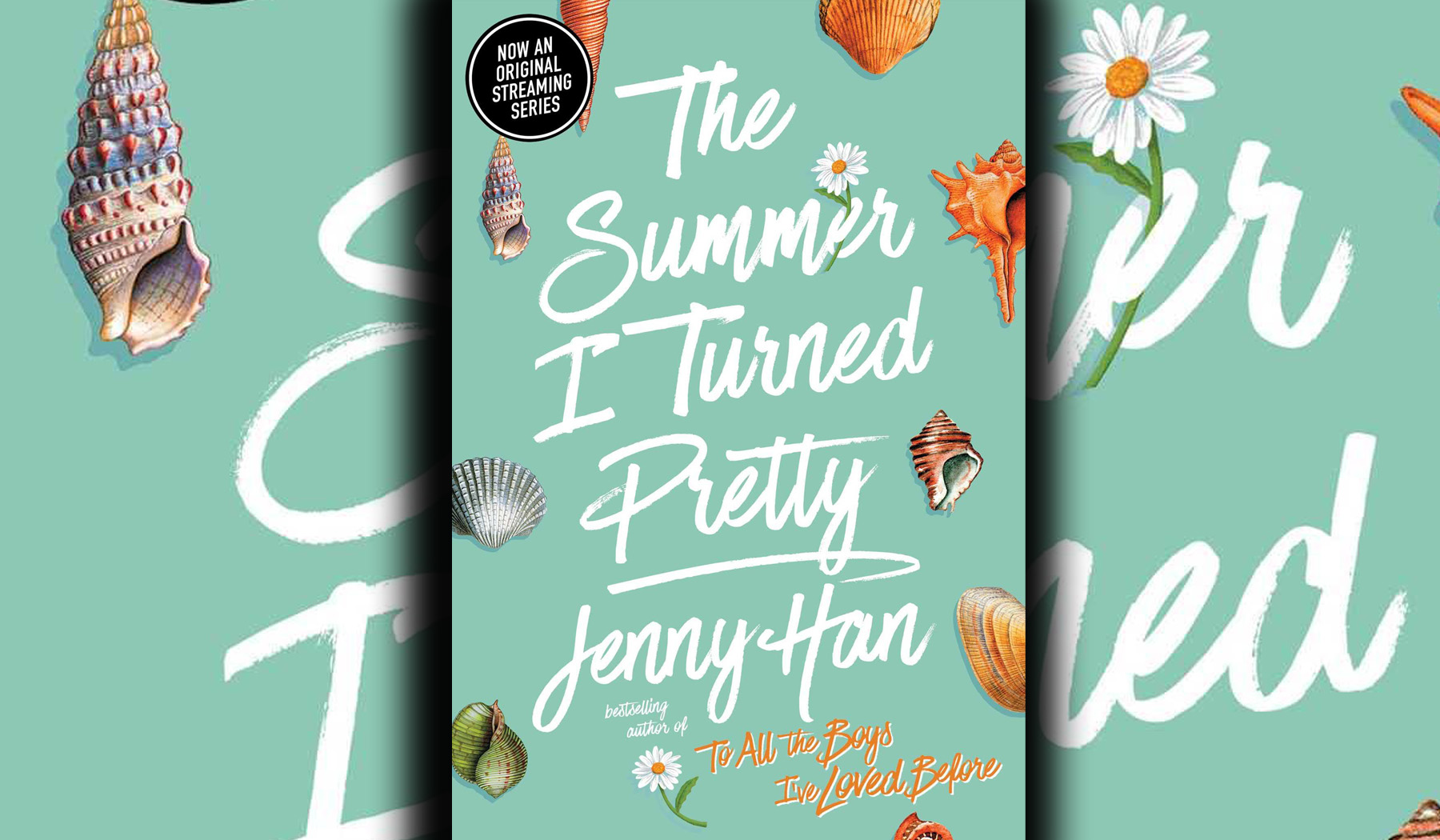 12 Best Quotes From The Summer I Turned Pretty Books - Worlds Best Story