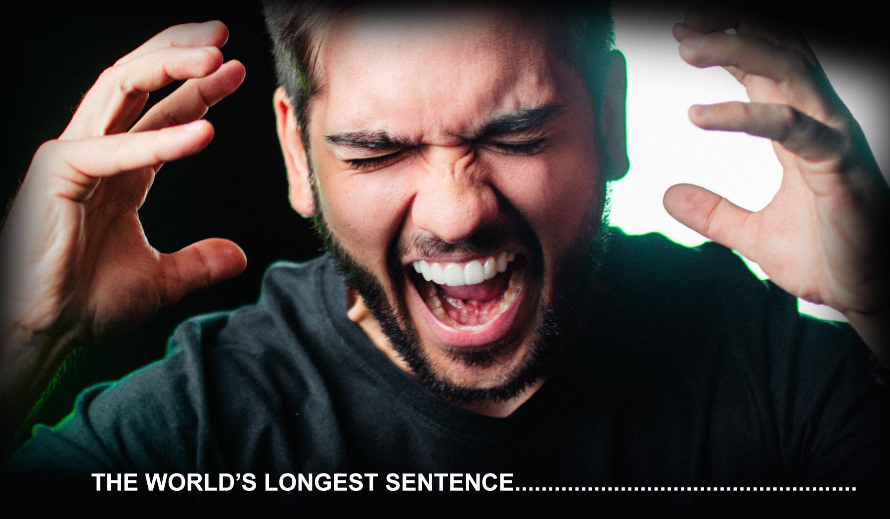 the worlds longest sentence