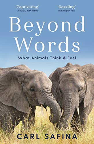 Beyond Words What Animals Think and Feel by Carl Safina