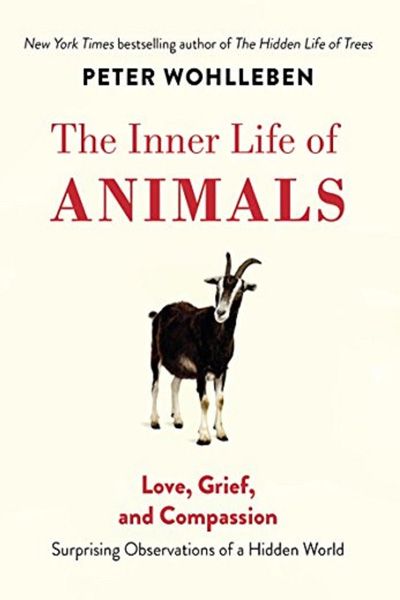 The Inner Life of Animals Love, Grief, and Compassion – Surprising Observations of a Hidden World by Peter Wohlleben