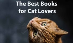 The Best Books for Cat Lovers Find Your Perfect Read